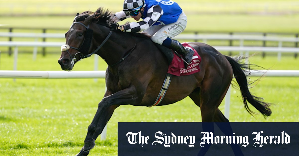 The looming fairytale, the serious player and the head-scratcher: The top 30 horses rated ahead of the Melbourne Cup