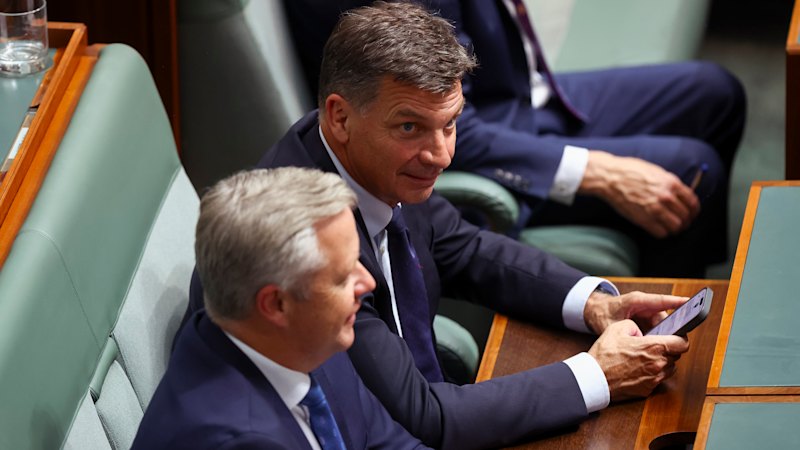 Liberal Party leadership spill tomorrow, Angus Taylor to challenge Sussan Ley