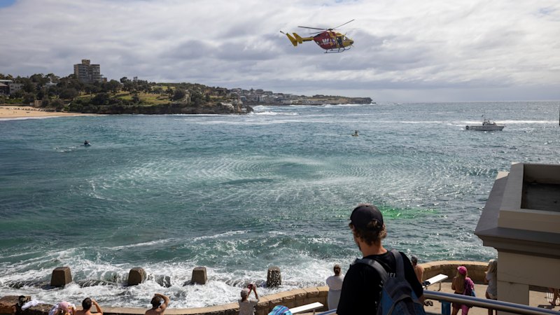 Huge search resumes at Coogee for popular local bartender