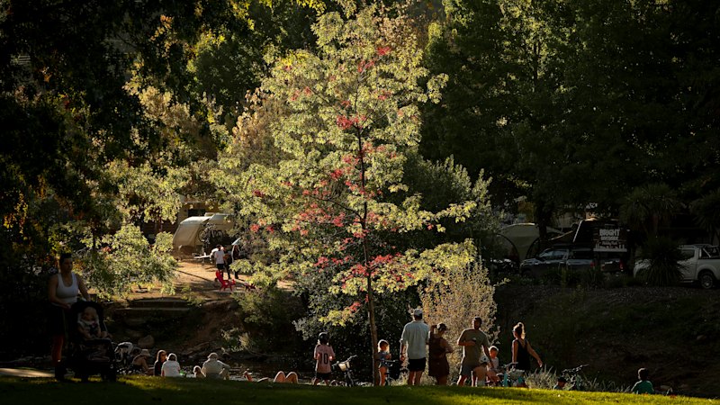 ‘We hope no one lied to us’: Alpine towns fear Dezi Freeman accomplices are among them