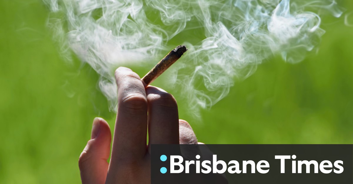 In a week when many wondered what the Liberal Party was smoking, its members will get a vote on it