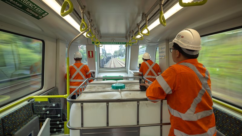 How bin chickens, kittens and possums test Sydney’s delayed metro line