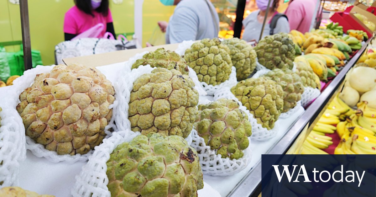 Beijing's backflip over sugar apples signals a much bigger project - Vimarsana News