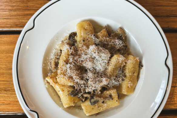 Ricotta gnocchi, black pearl mushroom, nutmeg, parmesan.
