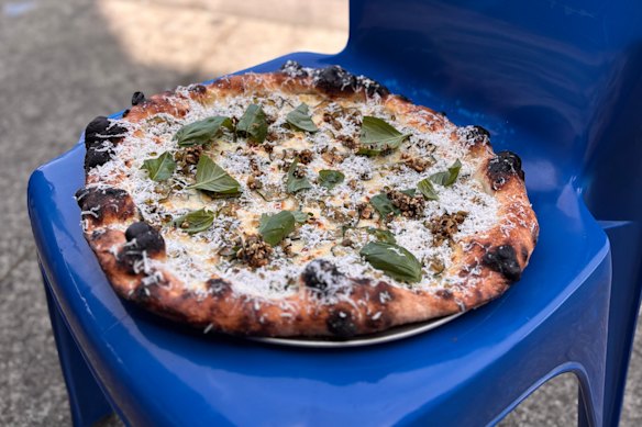 Lemon kosho ricotta, marinated zucchini, basil, ricotta salata, pepita and charred spring garlic salsa and olive oil.