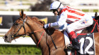 Craig Williams is back to ride  Everest winner Giga Kick in the All Aged Stakes at Randwick on Saturday.