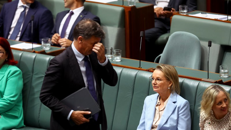 Liberal spin machine finds a brand new home