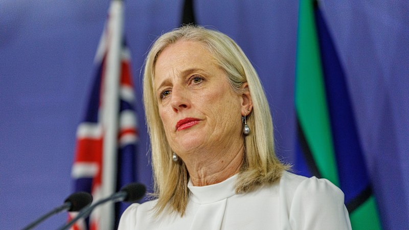 AI breach highlights flaws in government's cyber defences