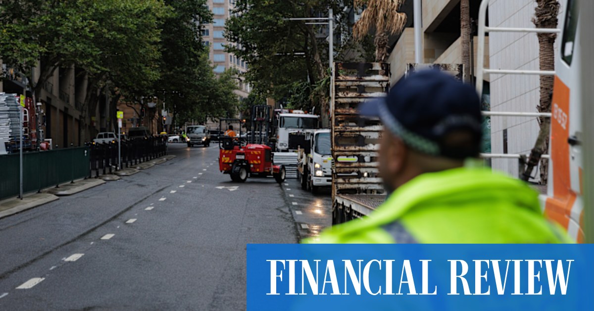 Palestine Action Group mounts legal challenge over Herzog protest