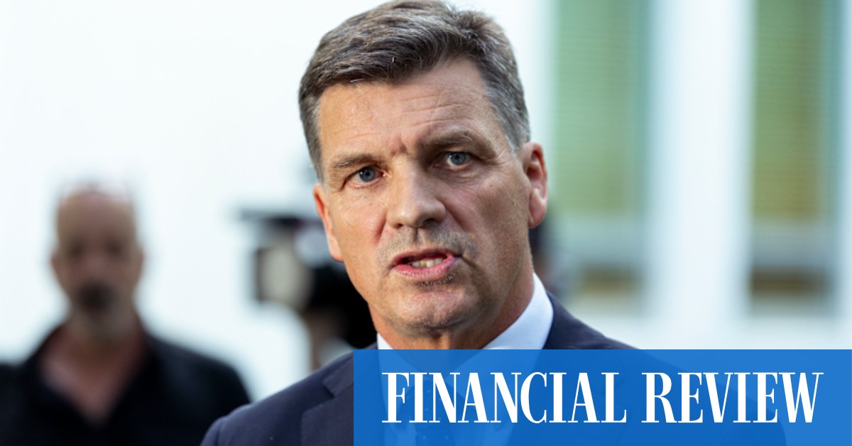 Angus Taylor has declared his intention to challenge Opposition Leader Sussan Ley for her job.