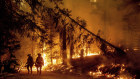 Firefighters in Plumas County, California. Firefighters in Plumas County, California. Heatwaves are bringing record temperatures to North America and even in Siberia.