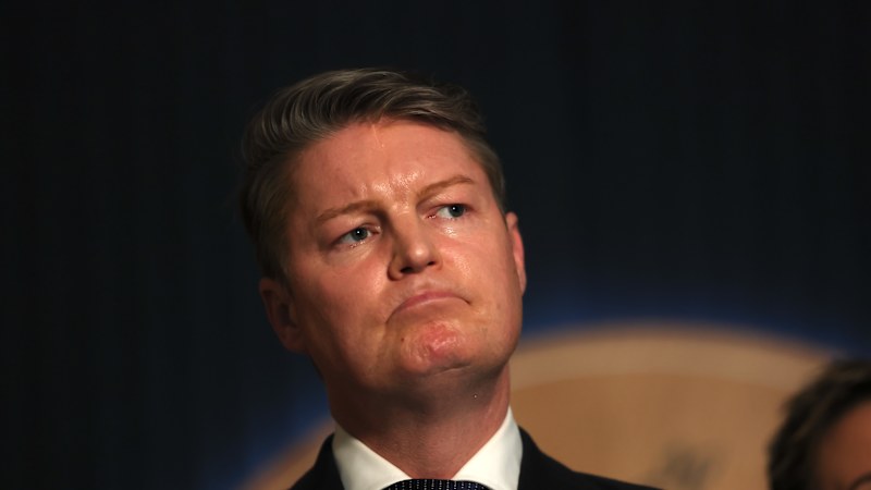 Carroll slammed for tinkering at edges of mega-project's cost problems