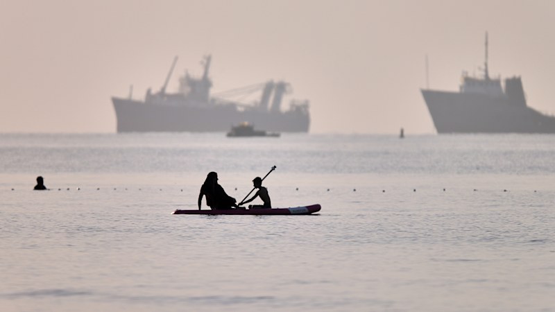 Shipping tycoon ready to pay Strait of Hormuz fees