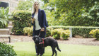 Donna Purcell, with her guide dog Ava, previously relied heavily on the Hazards Near Me app to provide early fire warnings.
