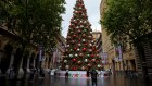 The City of Sydney Christmas tree in Martin Place.