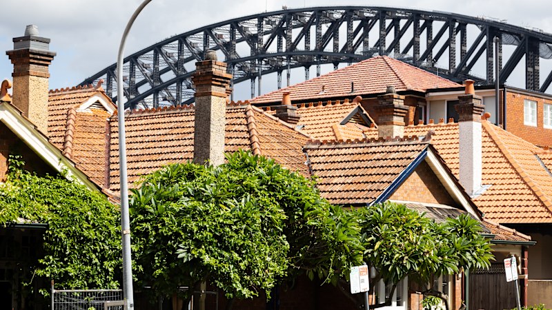 Pepper spices up the mortgage market with a post-budget loan boost