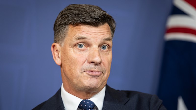 The cost of cutting foreign workers: Fares spike in Taylor’s migration gamble
