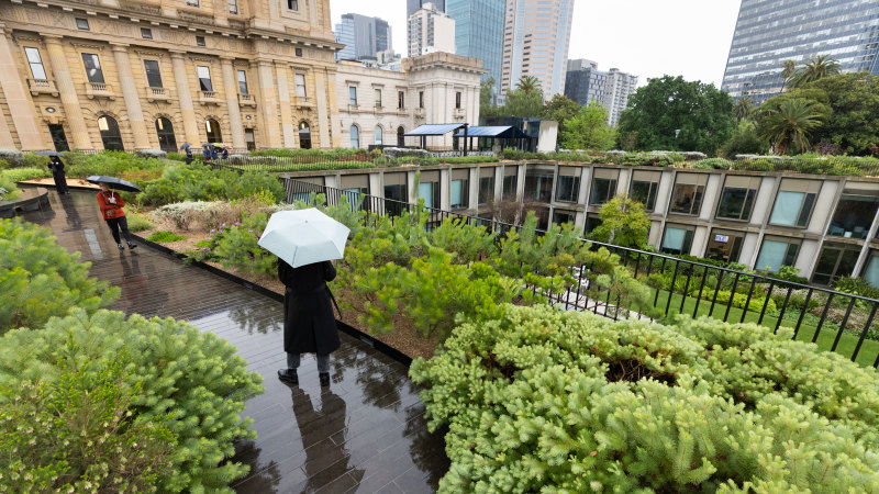 ‘A Royal Park in the sky’: Reece pledges seed funding for rooftop garden plan