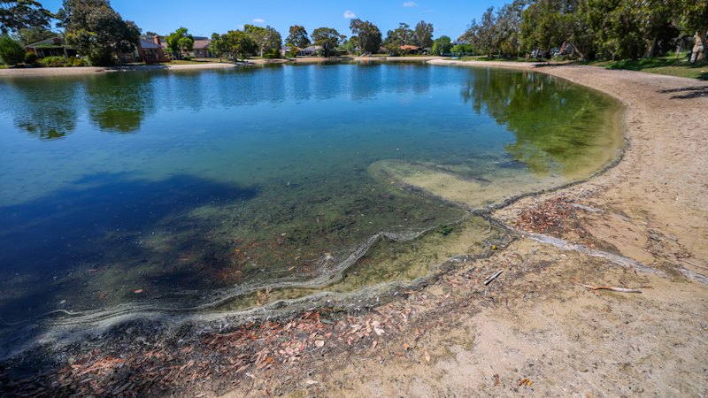 These lakes were once so clean you could swim in them. Now they are fetid – and residents are being told to pay to fix them