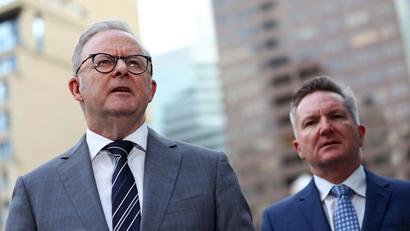 Albanese has cut Australia’s COP bid off at the knees; has anyone told Bowen?