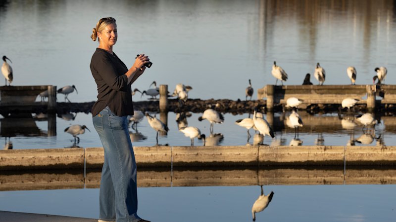 Fears bird disease outbreak at Albert Park Lake will worsen in heat