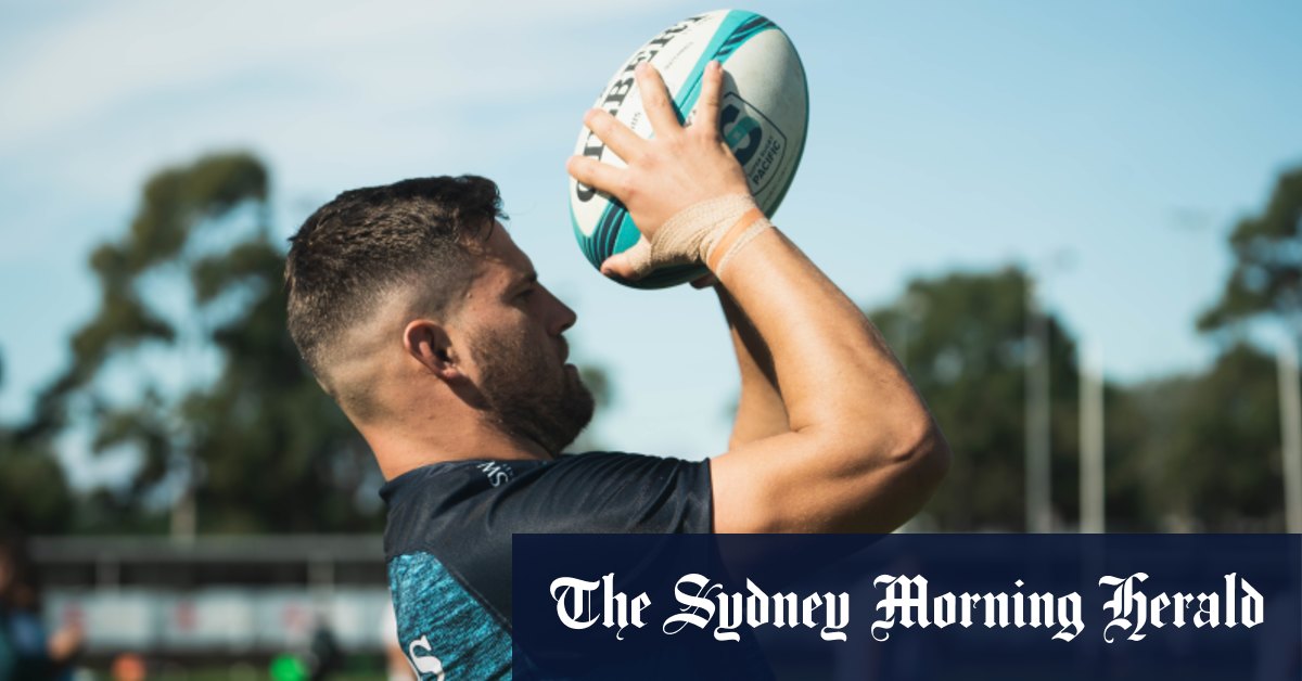 Barn doors and boxing gloves: How England turned Porecki into a Wallaby-in-waiting