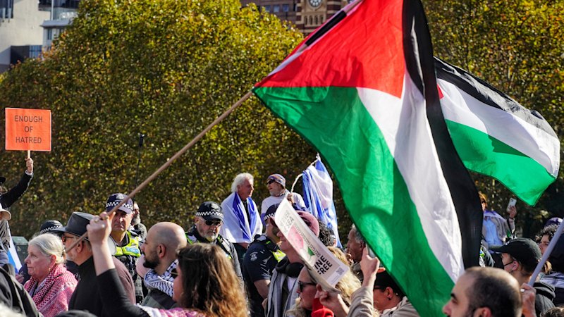 Police investigate pro-Palestine protest sign for possible anti-Nazi law breach
