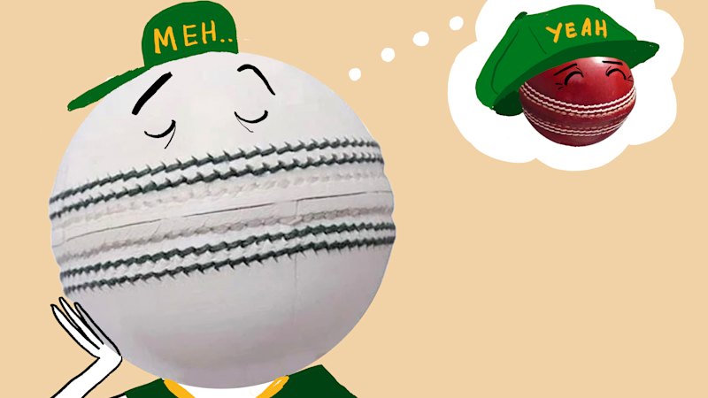 Crashing out of the T20 World Cup isn’t the problem. It’s that Australia doesn’t care