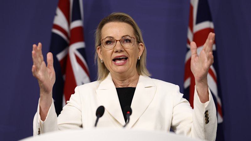 Coalition doesn’t ‘need to see’ sexuality protections in hate speech reforms, says Ley
