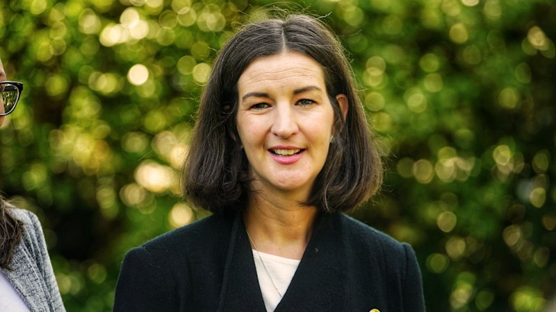 Guinness gripes are social media gold for Greens leader