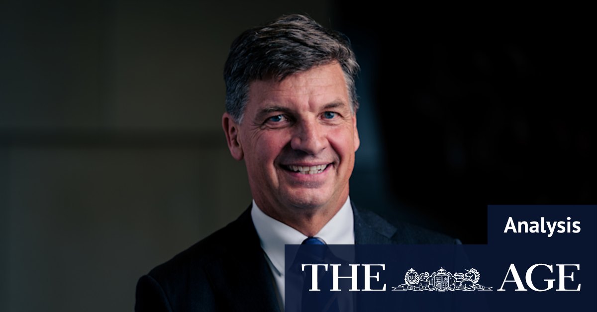 The broken Liberals have a dilemma: Was Angus Taylor the problem or is he ...