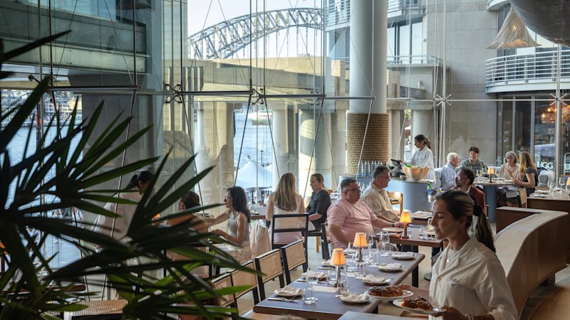 Sydney's New Dining Wave: Our Picks from the City's Freshest Plates