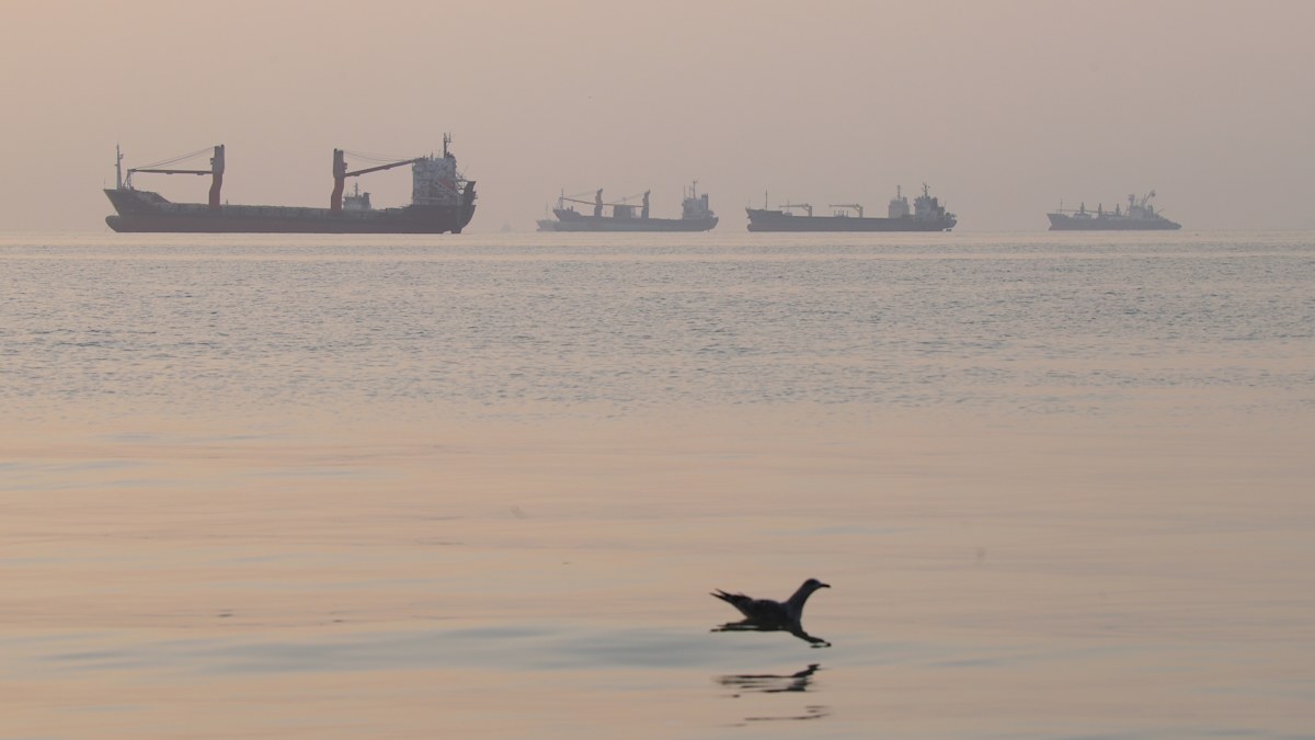 Oman Rescues 25 Crew From Tanker as Iran Halts Ships