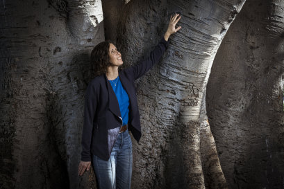 Dr Libby Straughan with her favourite tree: a Morton Bay fig in Lincoln Square, Carlton.