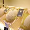 Gift wrapped with care… Takano’s Muskmelon Specialty Shop.