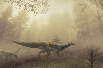 An artist’s impression of the prosauropod which likely made the footprints found in the Ipswich mine.