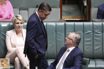 Labor MP Mark Butler and Opposition Leader Anthony Albanese during question time at Parliament House in Canberra in November.