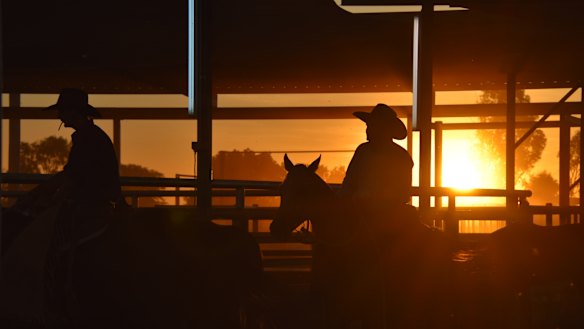 The daylight savings debate in Queensland has been geographically divided, with the ‘no’ vote strongest in the north and west with the south-east in favour.
