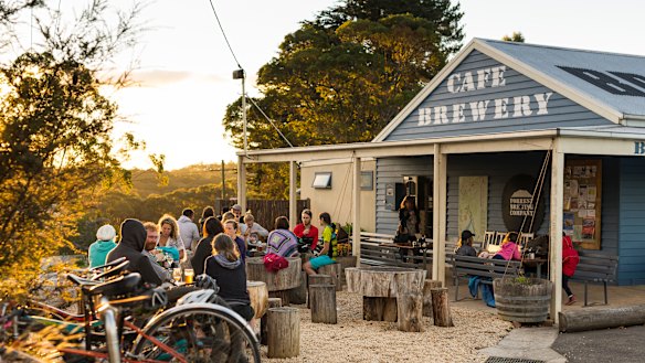 Forest Brewing Company.