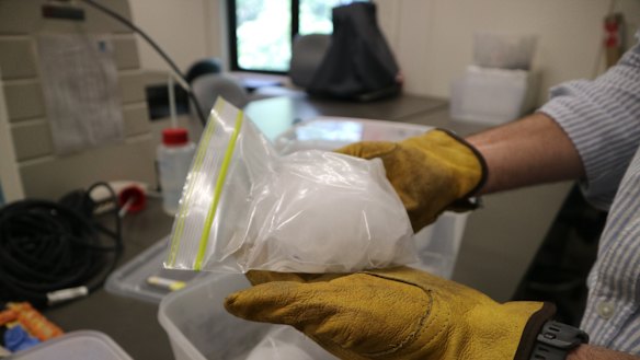 A large hailstone donated from a recent storm.