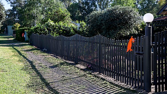 Locals say the orange cockatoo has become a non-political symbol of support for Haines. 