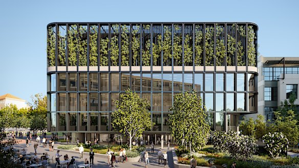 An artist impression of Doma Group's six-storey office building to join its Little National Hotel in Barton. 