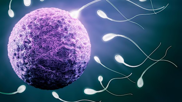 It has been common for children conceived using donor sperm to not be told of their origins. 