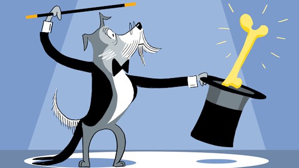 Investing in retirement can feel like too little too late, but it’s always possible to teach an old dog new tricks.