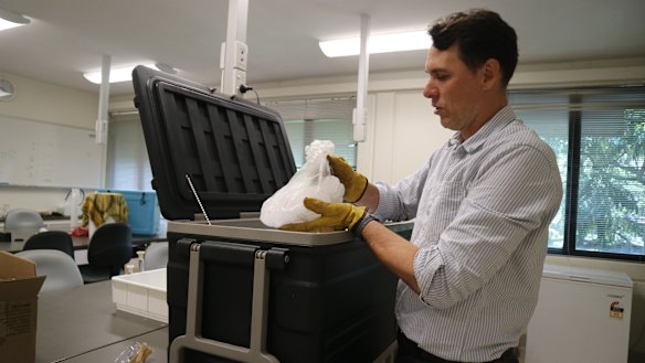 University of Queensland Associate Professor Matthew Mason handling donated hail for the hail library.