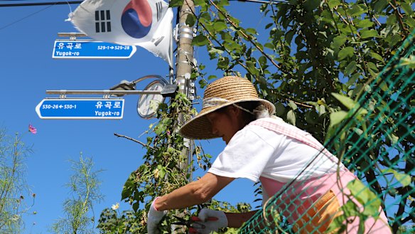 A woman prunes her garden in Yugok-ri.