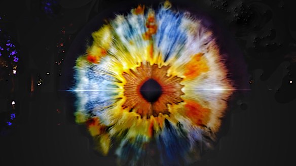 'Iris' at Treasury Gardens, part of White Night Reimagined.