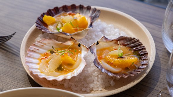 Amy Lane chooses the scallop crudo with yuzu sauce. 