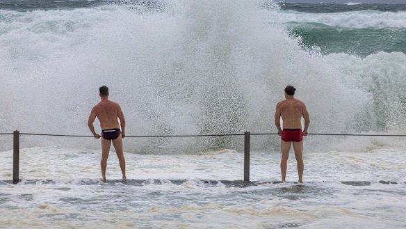 Mikey and Patch May examine the wild surf conditions at the Cronulla rock pool.
