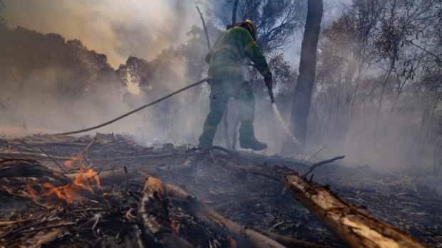 Fire authorities prepare for summer by carrying out a controlled burn.